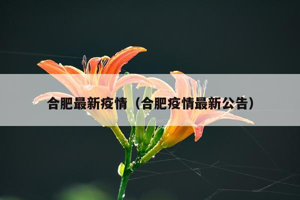 合肥最新疫情（合肥疫情最新公告）