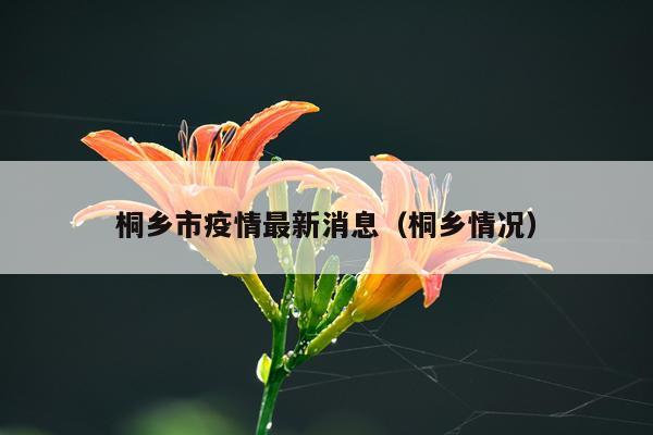 桐乡市疫情最新消息(桐乡情况)