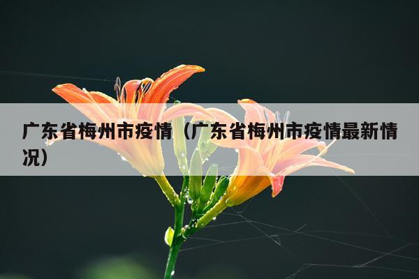 广东省梅州市疫情(广东省梅州市疫情最新情况)