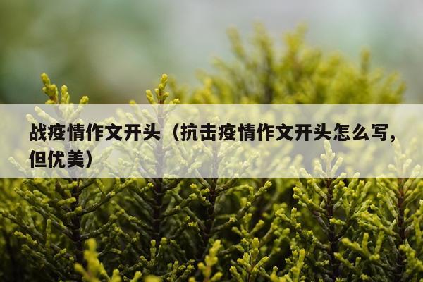 战疫情作文开头(抗击疫情作文开头怎么写,但优美)
