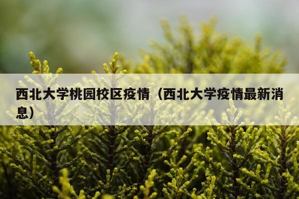 西北大学桃园校区疫情（西北大学疫情最新消息）
