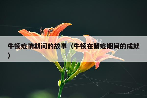 牛顿疫情期间的故事(牛顿在鼠疫期间的成就)