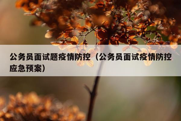 公务员面试题疫情防控（公务员面试疫情防控应急预案）
