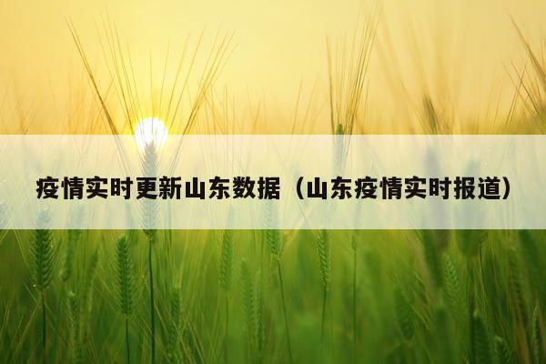 疫情实时更新山东数据（山东疫情实时报道）