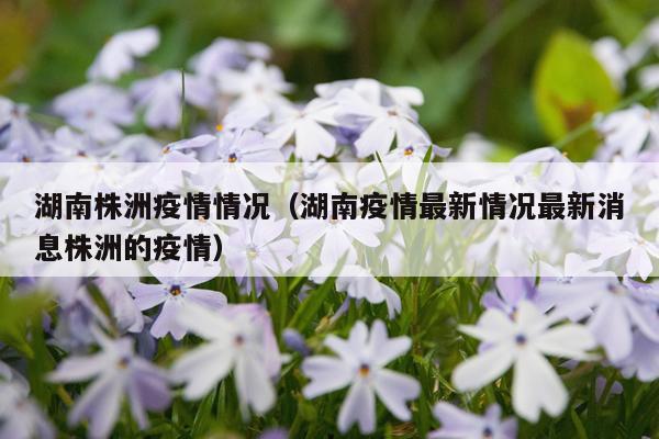 湖南株洲疫情情况（湖南疫情最新情况最新消息株洲的疫情）