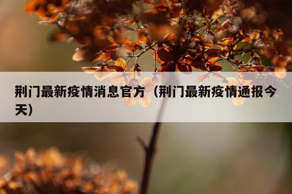 荆门最新疫情消息官方（荆门最新疫情通报今天）