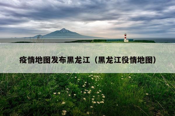 疫情地图发布黑龙江（黑龙江役情地图）