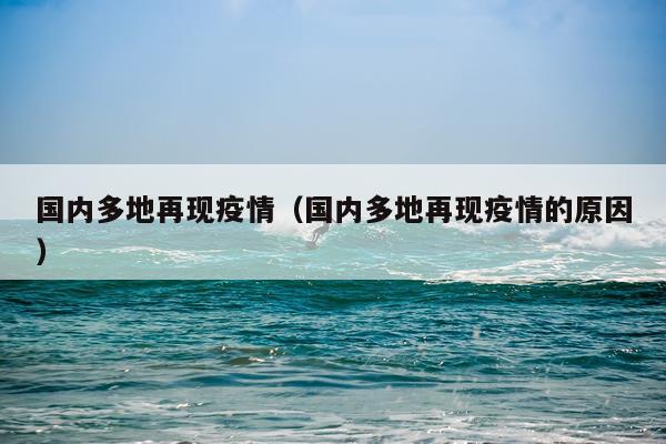 国内多地再现疫情（国内多地再现疫情的原因）