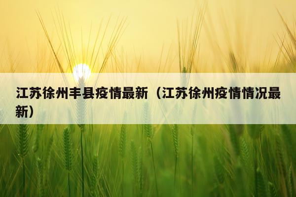 江苏徐州丰县疫情最新（江苏徐州疫情情况最新）