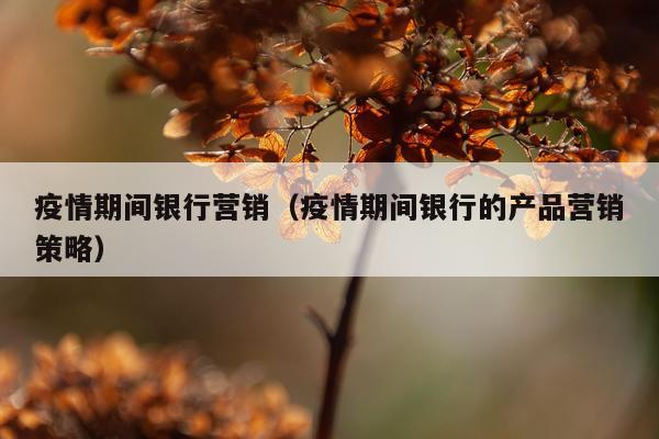 疫情期间银行营销(疫情期间银行的产品营销策略)