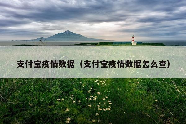 支付宝疫情数据（支付宝疫情数据怎么查）