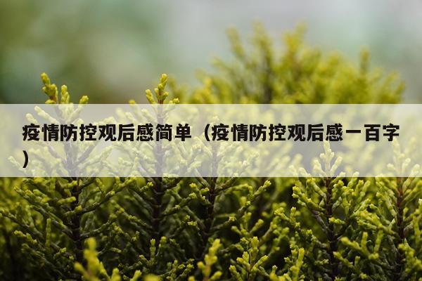 疫情防控观后感简单(疫情防控观后感一百字)