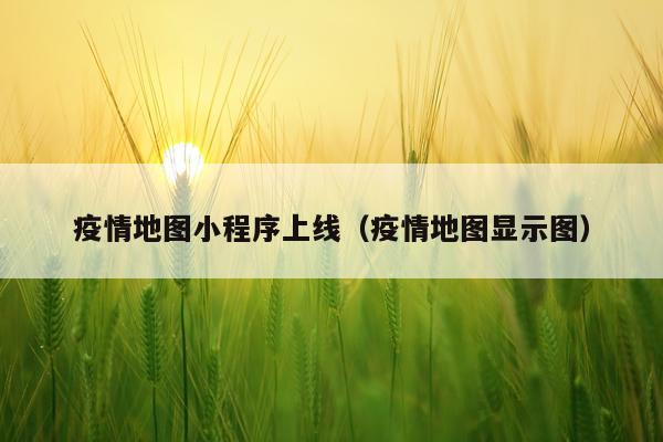 疫情地图小程序上线(疫情地图显示图)