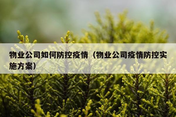物业公司如何防控疫情（物业公司疫情防控实施方案）