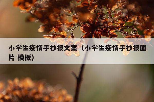 小学生疫情手抄报文案（小学生疫情手抄报图片 模板）