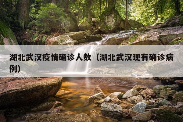 湖北武汉疫情确诊人数（湖北武汉现有确诊病例）