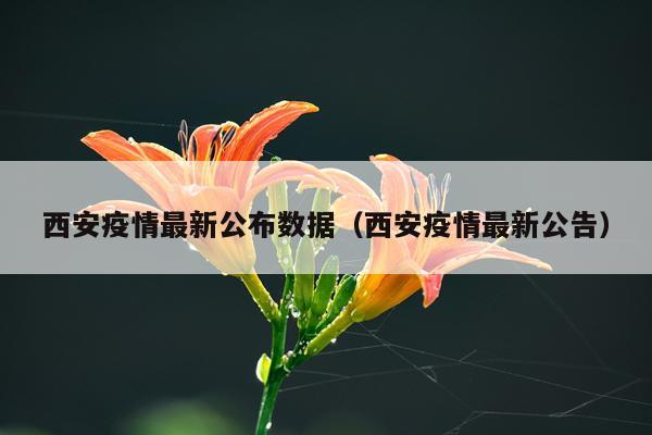西安疫情最新公布数据（西安疫情最新公告）