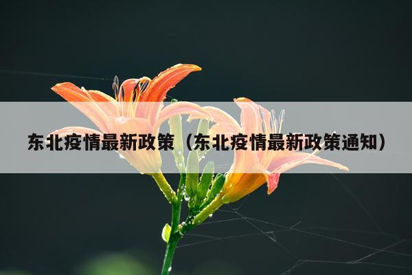 东北疫情最新政策(东北疫情最新政策通知)