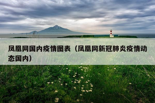 凤凰网国内疫情图表(凤凰网新冠肺炎疫情动态国内)