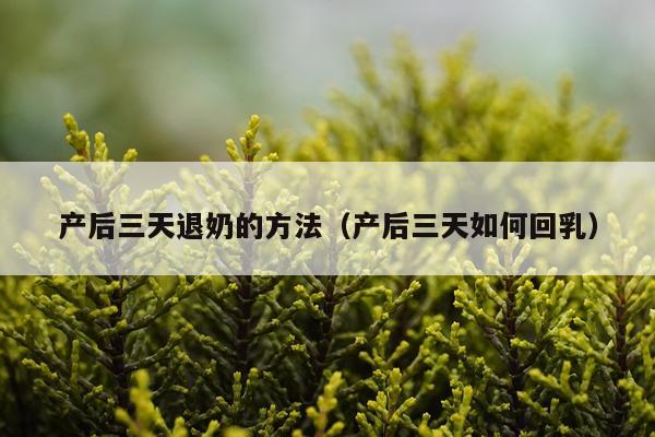 产后三天退奶的方法（产后三天如何回乳）