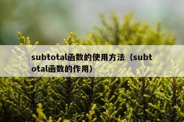 subtotal函数的使用方法（subtotal函数的作用）