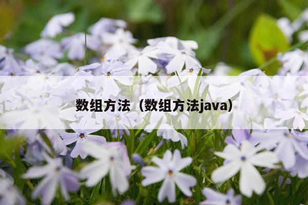 数组方法（数组方法java）