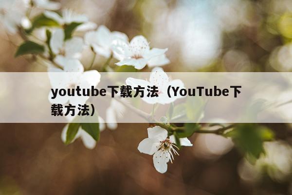 youtube下载方法(YouTube下载方法)