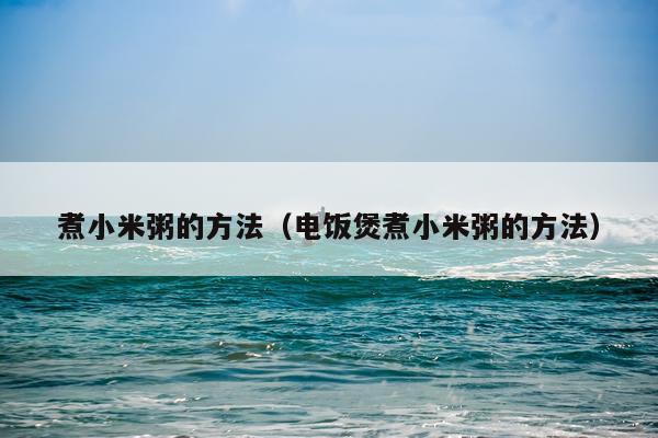 煮小米粥的方法(电饭煲煮小米粥的方法)