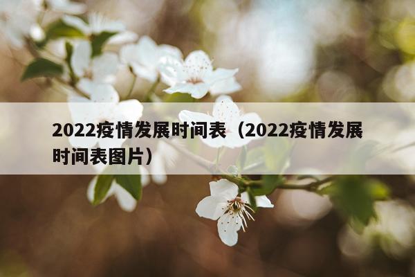 2022疫情发展时间表(2022疫情发展时间表图片)