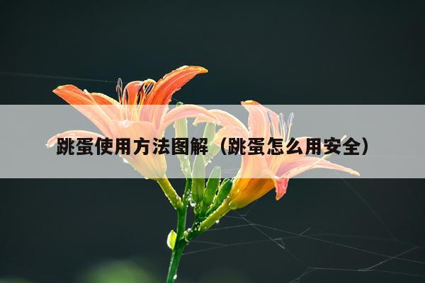 跳蛋使用方法图解（跳蛋怎么用安全）
