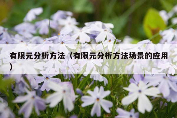 有限元分析方法(有限元分析方法场景的应用)