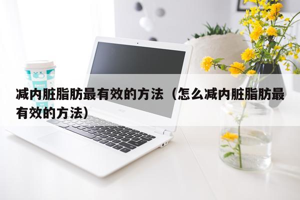 减内脏脂肪最有效的方法(怎么减内脏脂肪最有效的方法)