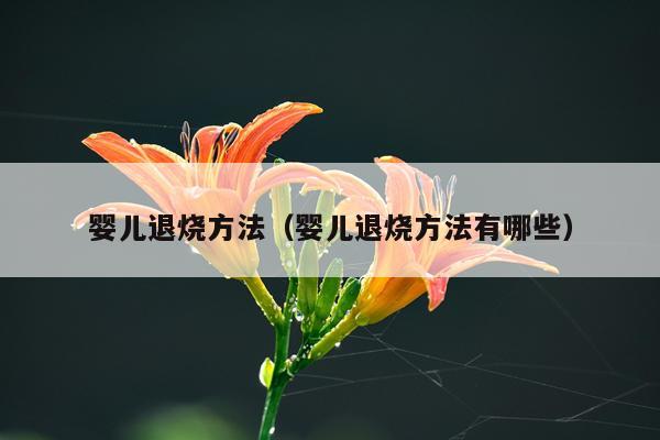 婴儿退烧方法(婴儿退烧方法有哪些)