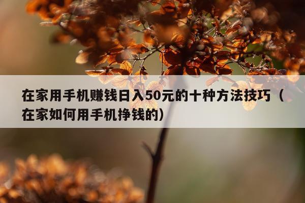 在家用手机赚钱日入50元的十种方法技巧(在家如何用手机挣钱的)