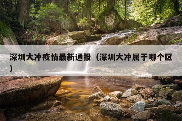 深圳大冲疫情最新通报（深圳大冲属于哪个区）