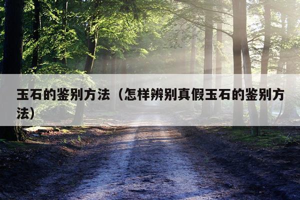 玉石的鉴别方法(怎样辨别真假玉石的鉴别方法)