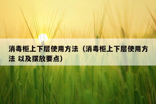 消毒柜上下层使用方法(消毒柜上下层使用方法 以及摆放要点)