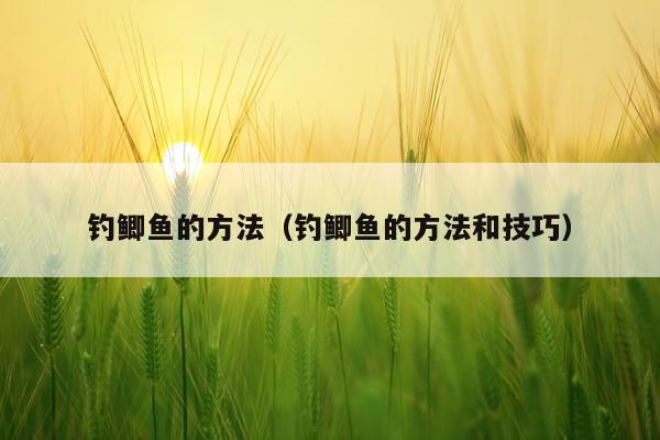 钓鲫鱼的方法（钓鲫鱼的方法和技巧）