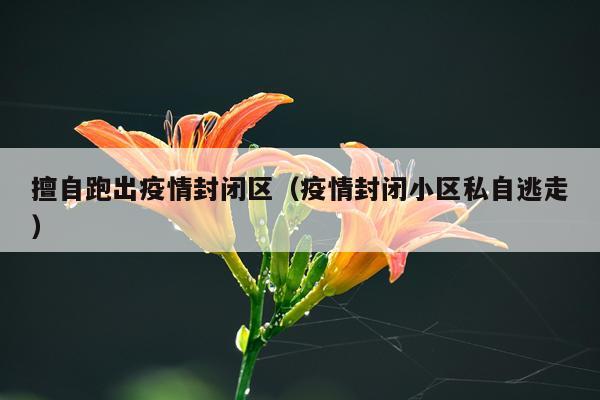 擅自跑出疫情封闭区(疫情封闭小区私自逃走)
