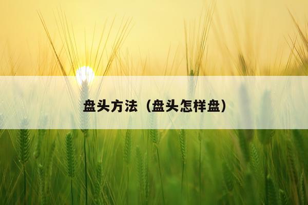 盘头方法（盘头怎样盘）