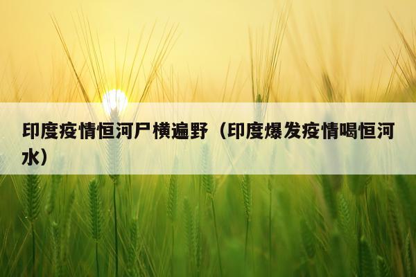 印度疫情恒河尸横遍野(印度爆发疫情喝恒河水)