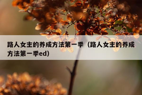 路人女主的养成方法第一季(路人女主的养成方法第一季ed)
