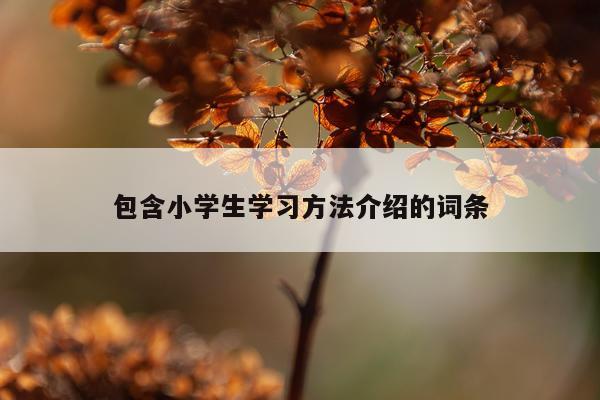 包含小学生学习方法介绍的词条