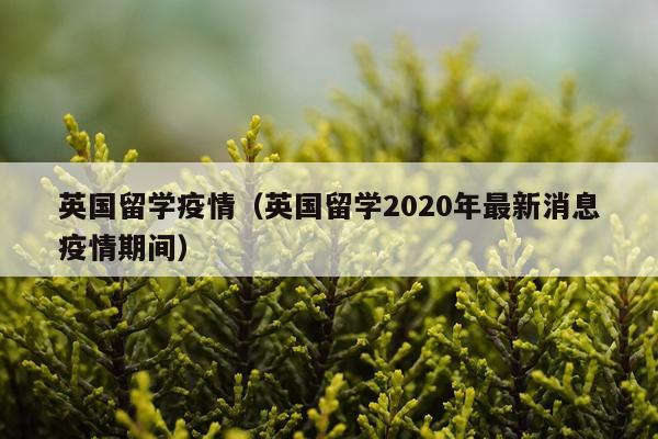 英国留学疫情(英国留学2020年最新消息疫情期间)