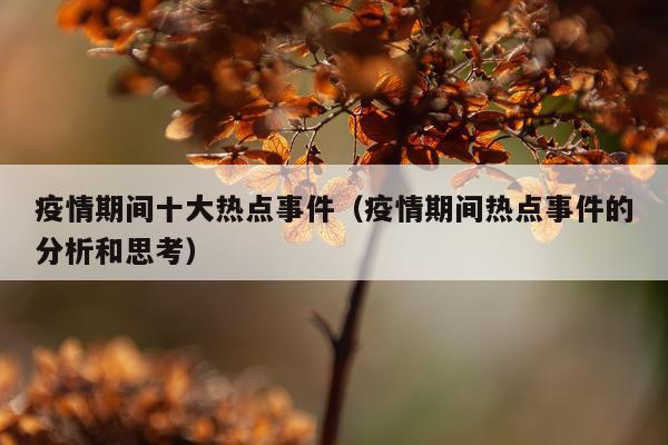 疫情期间十大热点事件（疫情期间热点事件的分析和思考）
