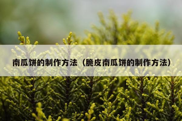 南瓜饼的制作方法(脆皮南瓜饼的制作方法)