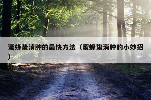 蜜蜂蛰消肿的最快方法（蜜蜂蛰消肿的小妙招）