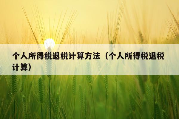 个人所得税退税计算方法（个人所得税退税 计算）
