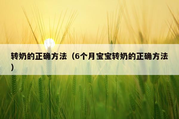 转奶的正确方法(6个月宝宝转奶的正确方法)