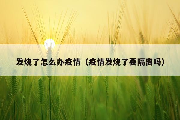 发烧了怎么办疫情（疫情发烧了要隔离吗）